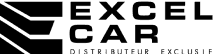 Excel Car logo